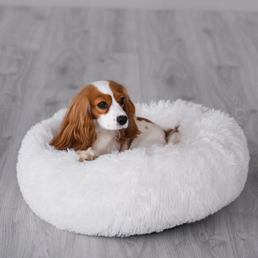 The PlufPups Soothing Dog Bed