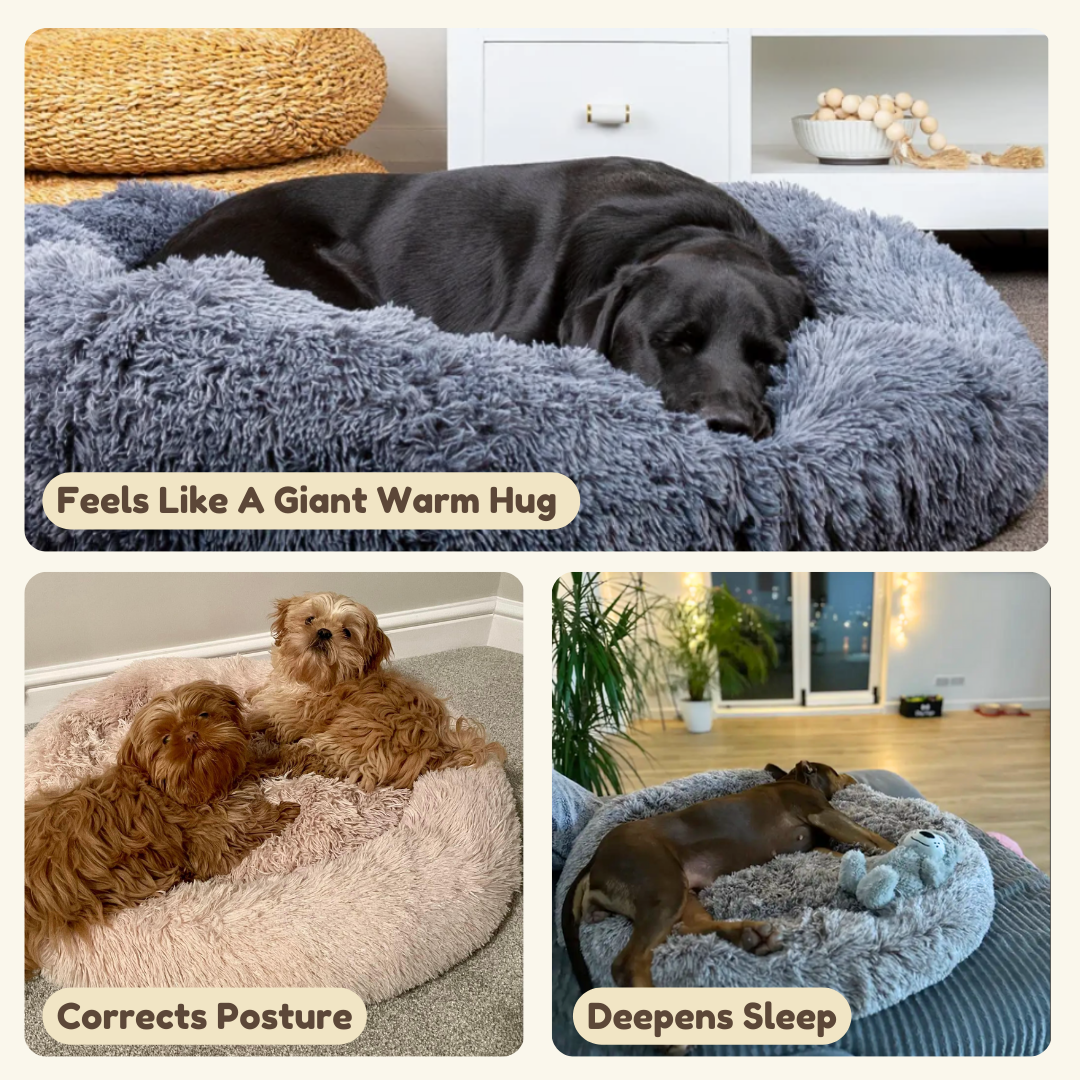 The PlufPups Soothing Dog Bed