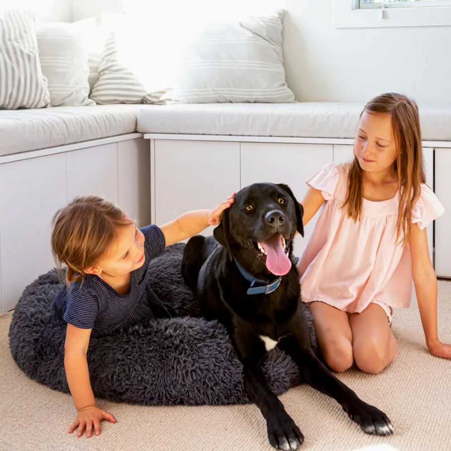 The PlufPups Soothing Dog Bed